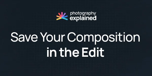 Save Your Composition in the Edit